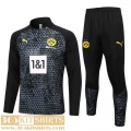 Training Dortmund gray Mens 2023 2024 A21