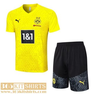 Training T Shirt Dortmund YELLOW Mens 2023 2024 A63