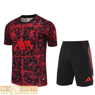 T Shirt Liverpool Mens 25 26 H711
