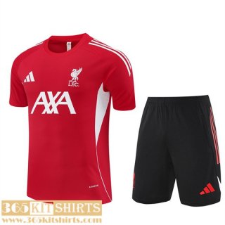T Shirt Liverpool Mens 2025 2026 H733 T Shirt Liverpool Mens 2025 2026 H733