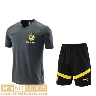 Training T Shirt Dortmund grey Mens 2022 2023 TG655