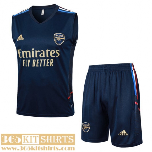 Training Sleeveless Arsenal Mens 2023 2024 E35