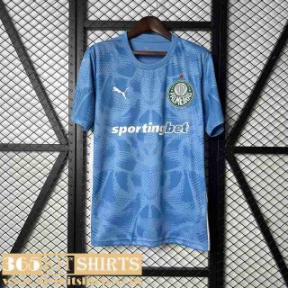 Football Shirts Palmeiras Goalkeepers Mens 25 26