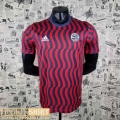 T-Shirt Bayern Munich Red Mens 2022 2023 PL322