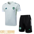 T Shirt Al-Ahli Mens 25 26 H846 T Shirt Al-Ahli Mens 25 26 H846