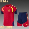 kit: T Shirt Spain Kids 26 27 H898 kit: T Shirt Spain Kids 26 27 H898