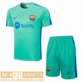 Training T Shirt Barcelona Green Mens 2023 2024 TG947